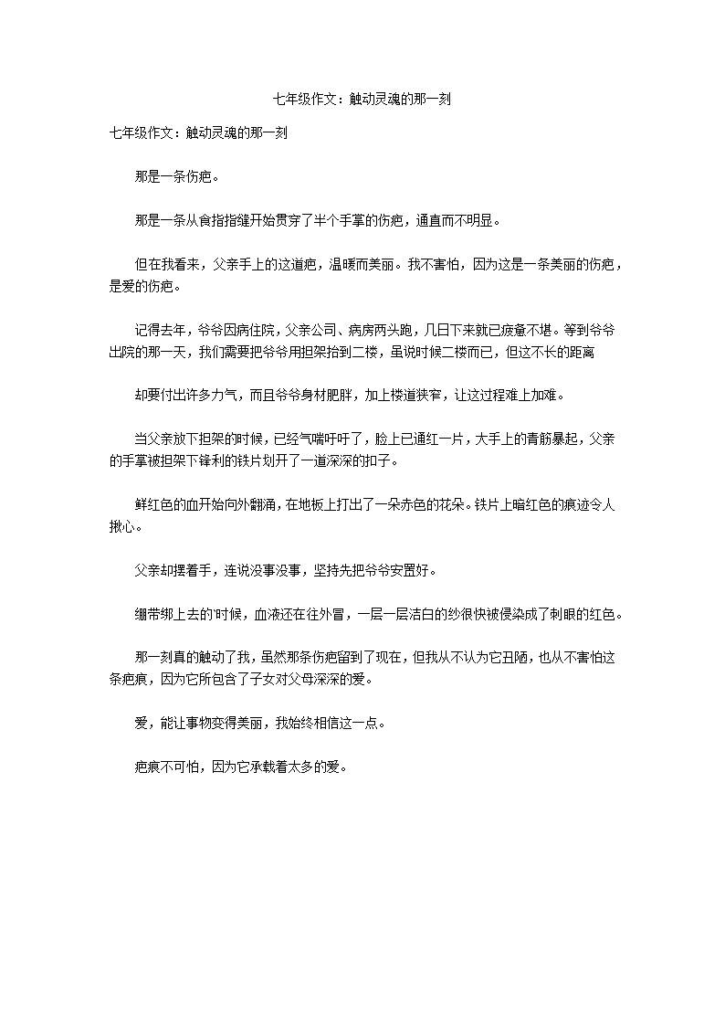 七年级作文：触动灵魂的那一刻第1页