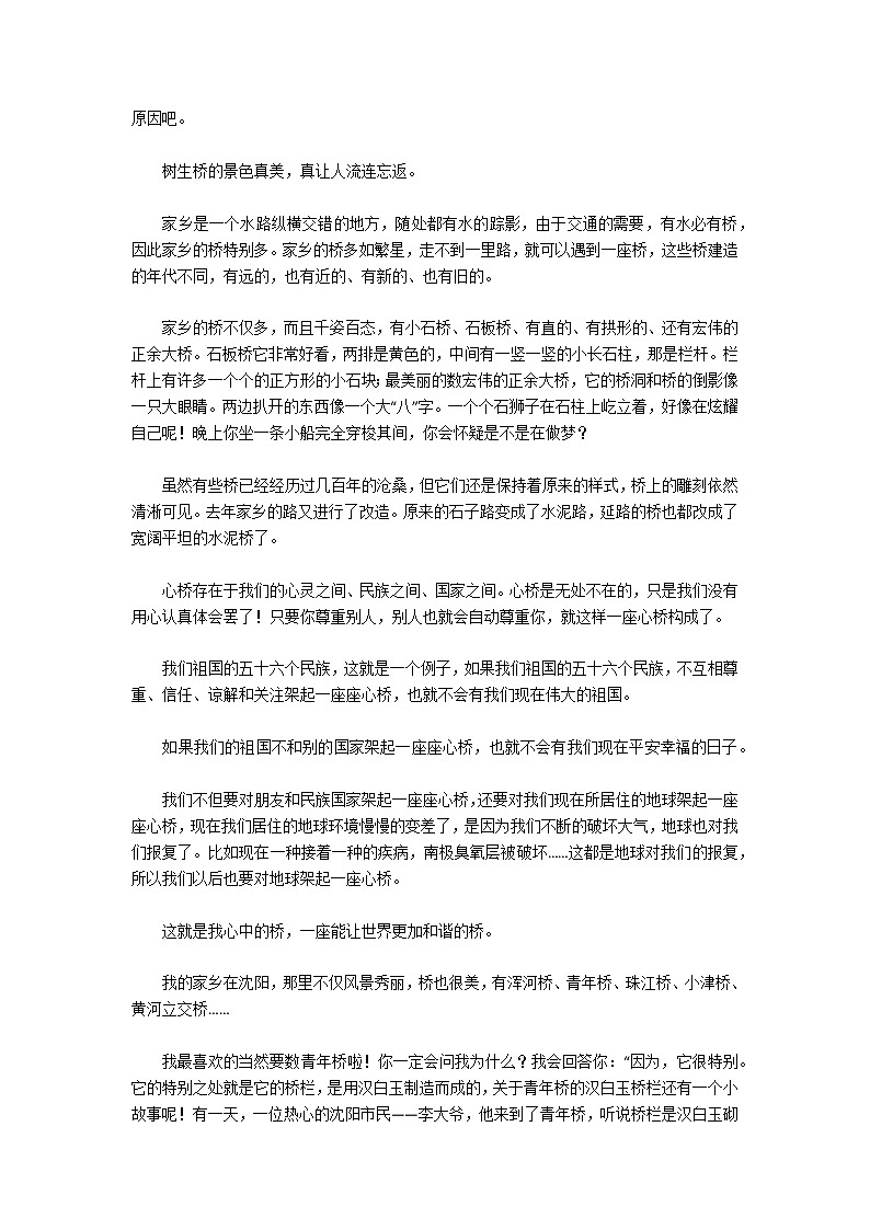 关于说不尽的桥作文4篇02