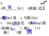 2022年中考复习 字表二 1000个汉字强化练习版课件（117张PPT）