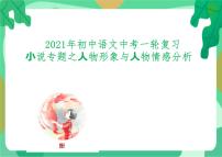 2022年中考语文一轮复习小说专题：人物形象与人物情感分析课件（共30张PPT）