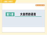部编版八年级下册语文 第2单元 5. 大自然的语言 习题课件