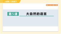 初中语文5 大自然的语言习题课件ppt