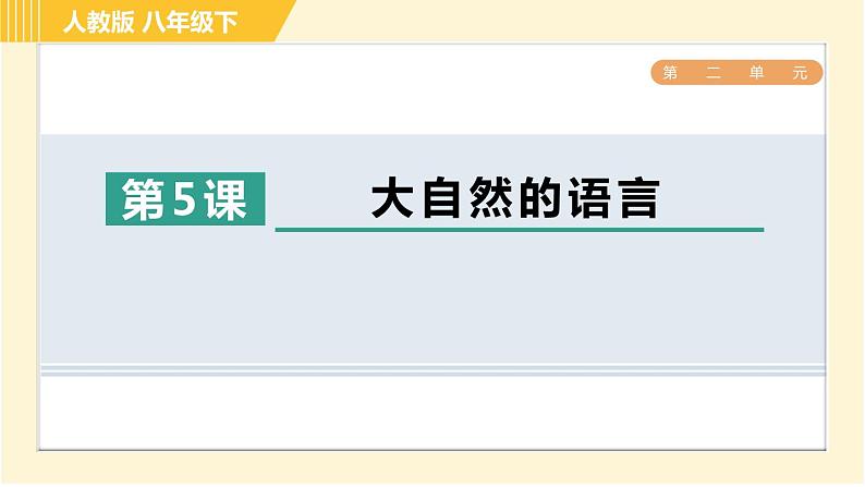 部编版八年级下册语文 第2单元 5. 大自然的语言 习题课件第1页