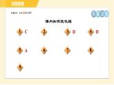 部编版八年级下册语文 第2单元 5. 大自然的语言 习题课件