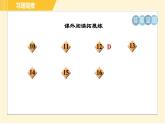 部编版八年级下册语文 第2单元 5. 大自然的语言 习题课件