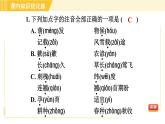 部编版八年级下册语文 第2单元 5. 大自然的语言 习题课件