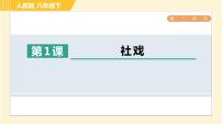 人教部编版八年级下册1 社戏习题课件ppt