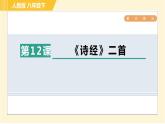 部编版八年级下册语文 第3单元 12. 《诗经》二首 习题课件