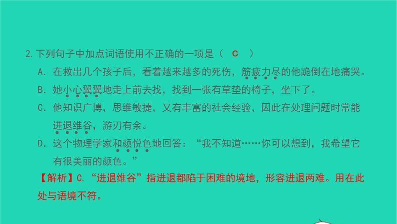 美丽的颜色PPT课件免费下载06
