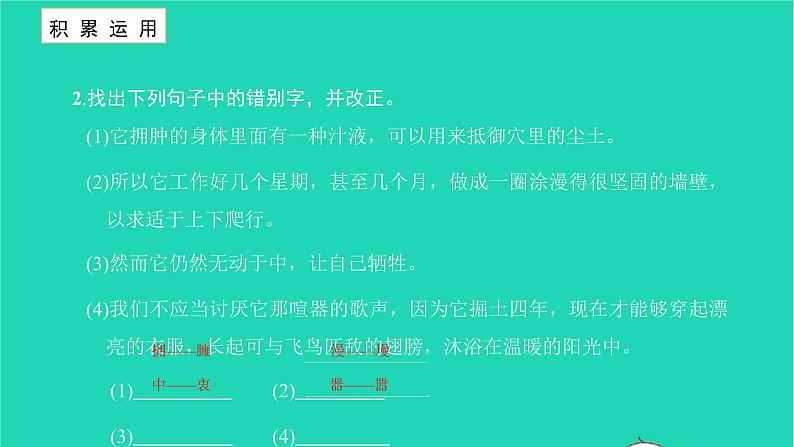 蝉PPT课件免费下载07