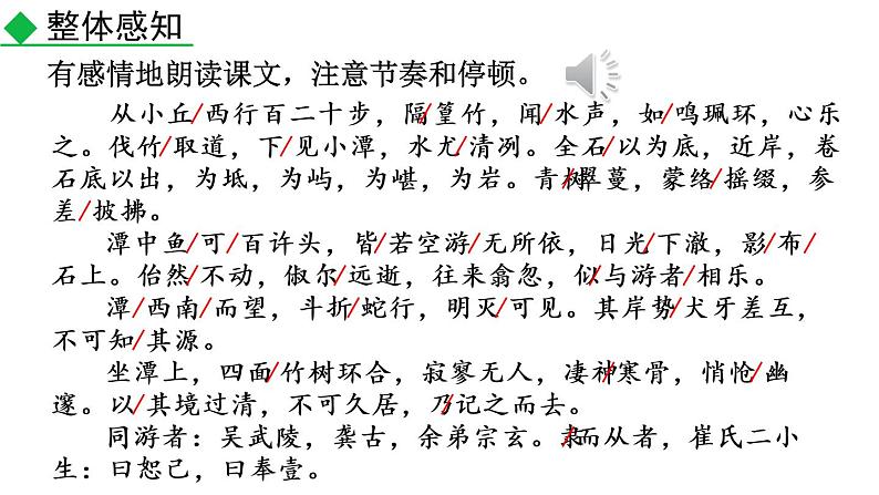 部编版八年级语文下册课件----10 小石潭记07
