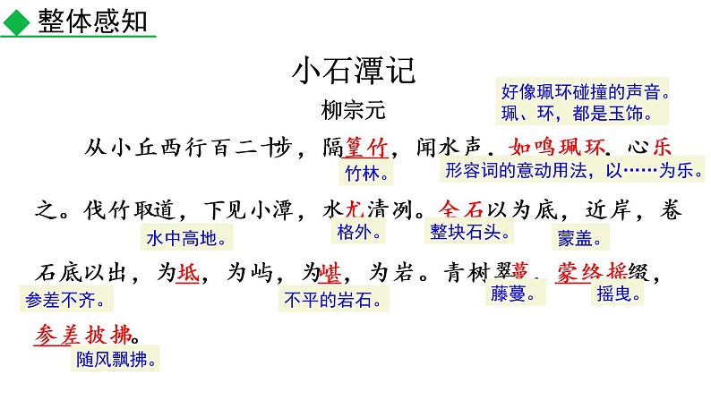 部编版八年级语文下册课件----10 小石潭记08