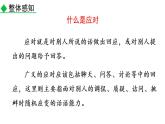 部编版八年级语文下册课件----口语交际 应对
