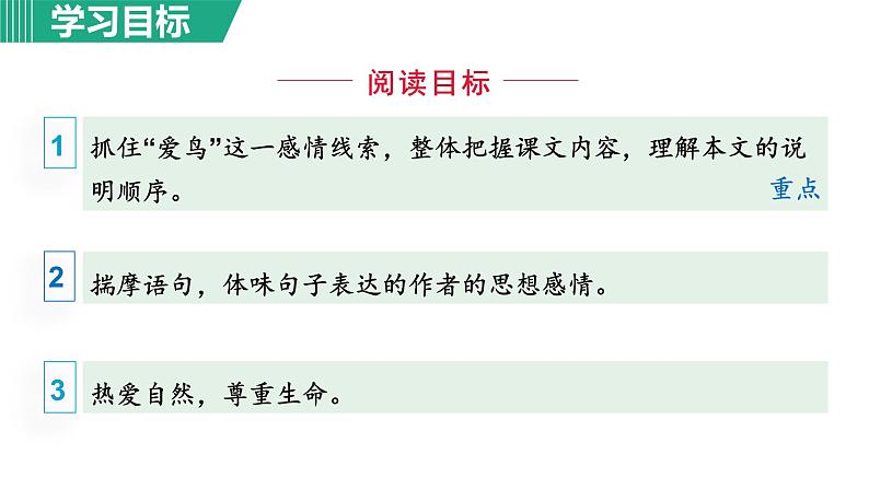 部编版八年级语文下册课件----7.大雁归来05