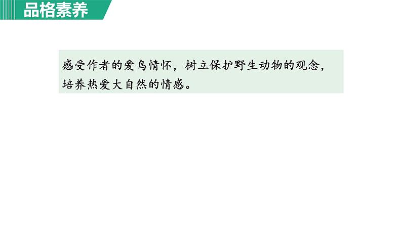 部编版八年级语文下册课件----7.大雁归来07