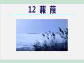 部编版八年级语文下册课件----12.蒹葭
