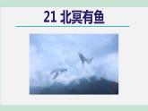 部编版八年级语文下册课件----21.北冥有鱼