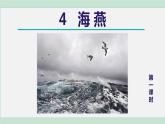 部编版九年级语文下册 第1单元 4海燕 课件