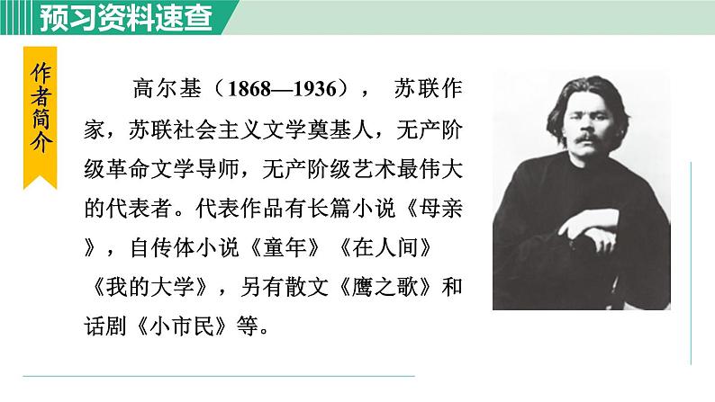 部编版九年级语文下册 第1单元 4海燕 课件06