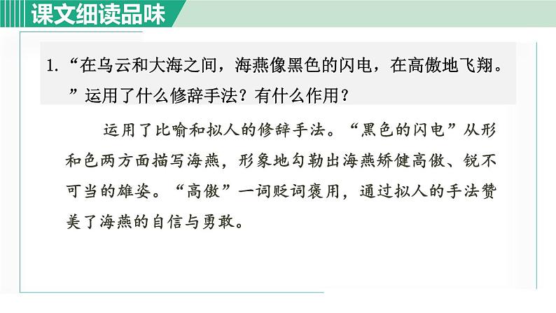 部编版九年级语文下册 第1单元 4海燕 课件02