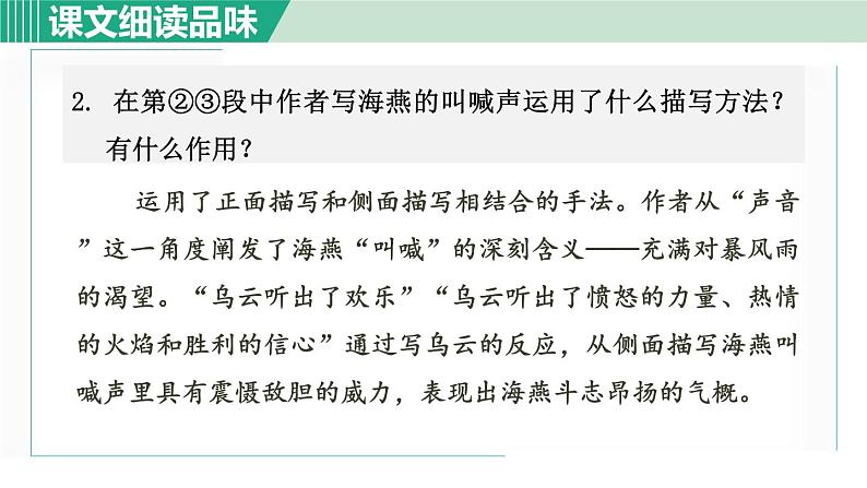 部编版九年级语文下册 第1单元 4海燕 课件03