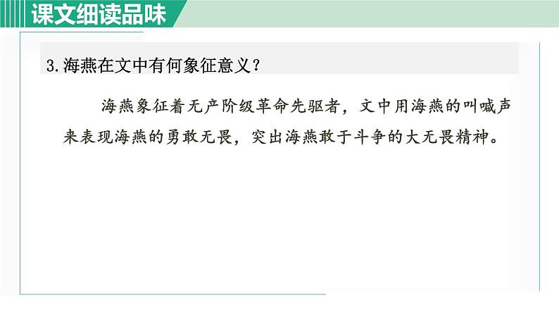 部编版九年级语文下册 第1单元 4海燕 课件04