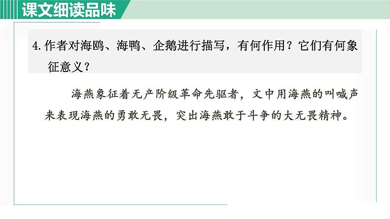 部编版九年级语文下册 第1单元 4海燕 课件05