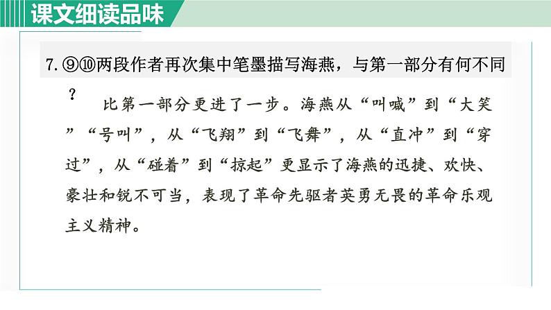 部编版九年级语文下册 第1单元 4海燕 课件08