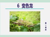 部编版九年级语文下册 第2单元 6变色龙 课件