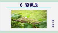 初中语文人教部编版九年级下册6 变色龙教案配套课件ppt