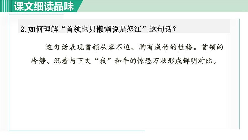 部编版九年级语文下册 第2单元 7溜索 课件03