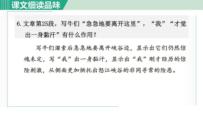 部编版九年级语文下册 第2单元 7溜索 课件07