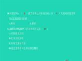 2021八年级语文上册第五单元名著阅读篇篇练昆虫记习题课件新人教版