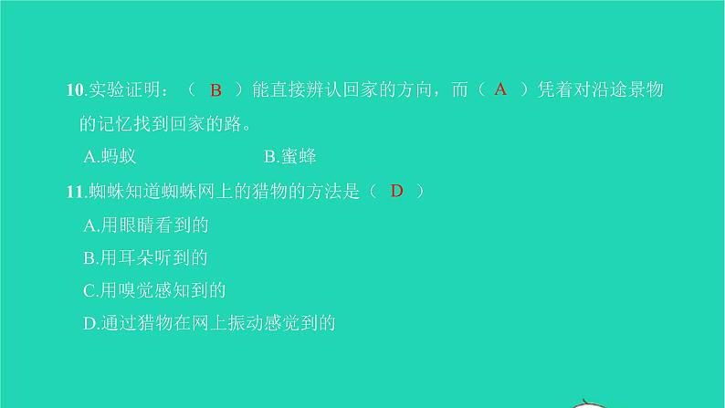 2021八年级语文上册第五单元名著阅读篇篇练昆虫记习题课件新人教版第5页