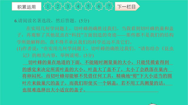 2021八年级语文上册第五单元过关检测卷习题课件新人教版07