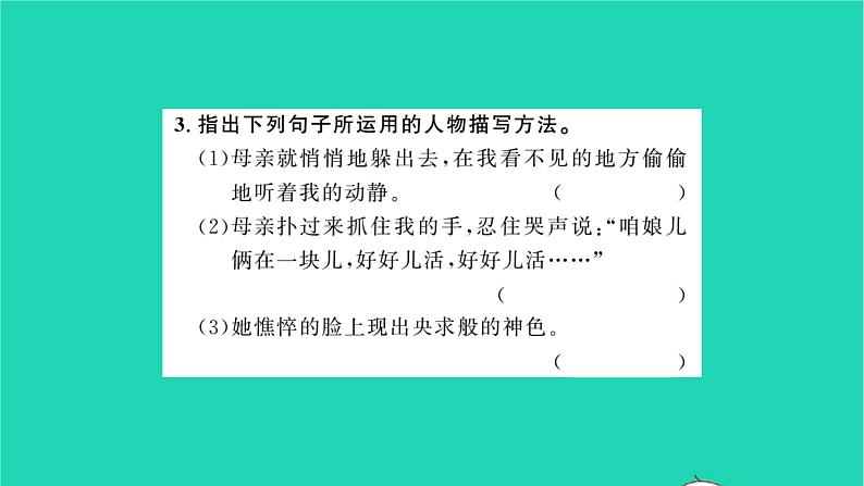秋天的怀念免费PPT课件下载07