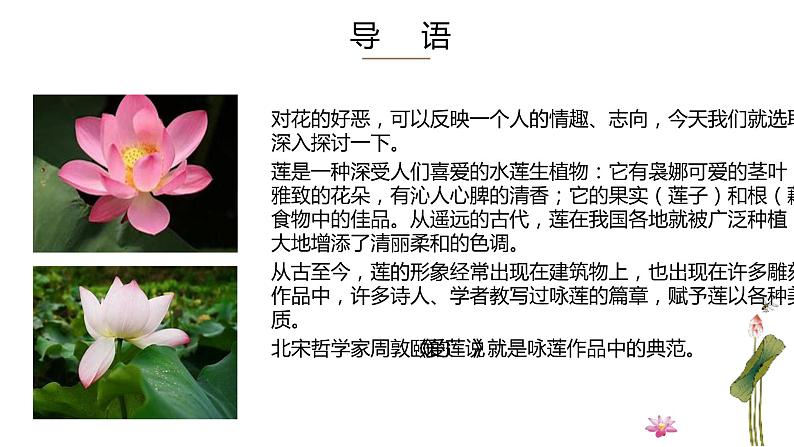 17《爱莲说》课件（共21张PPT）2020-2021学年部编版语文七年级下册第3页