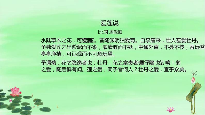 17《爱莲说》课件（共21张PPT）2020-2021学年部编版语文七年级下册第4页