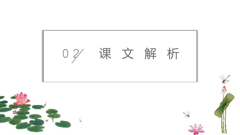 17《爱莲说》课件（共21张PPT）2020-2021学年部编版语文七年级下册第8页