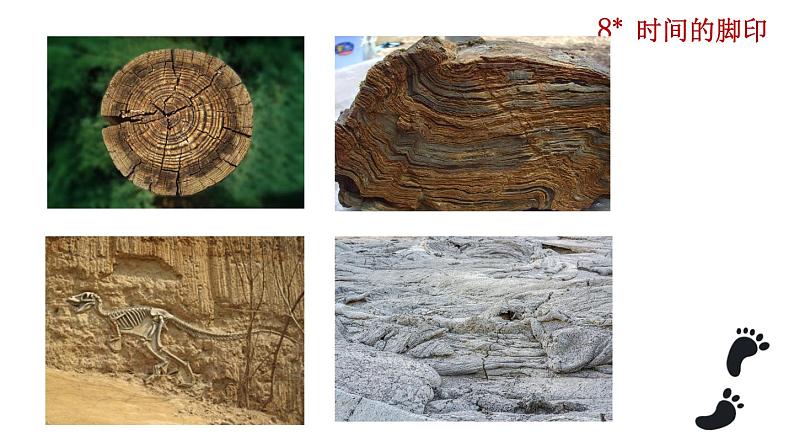 第8课 时间的脚印 课件-2020-2021学年初中语文部编版八年级下册（共32张）04