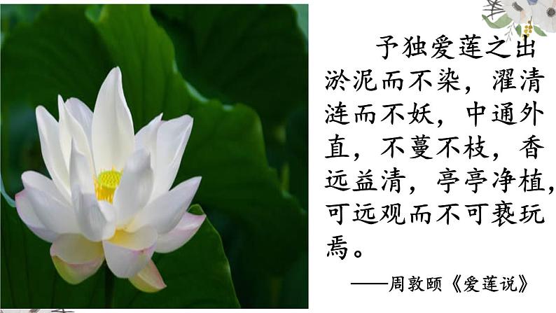 第19课《一棵小桃树》课件（共23张PPT）2021—2022学年部编版语文七年级下册第3页