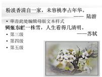 人教部编版七年级下册15 驿路梨花课文配套ppt课件