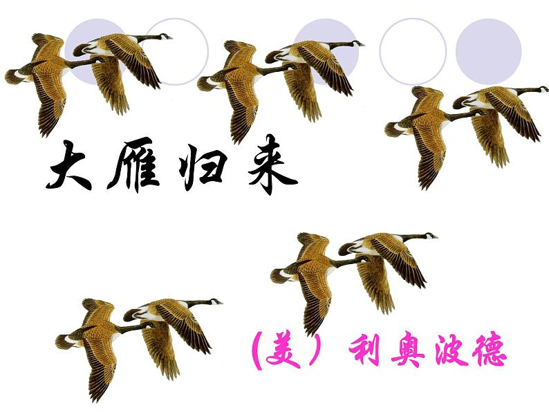 07大雁归来-2021-2022学年八年级语文下册课件（部编版）03