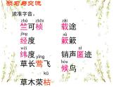 05大自然的语言-2021-2022学年八年级语文下册课件（部编版）