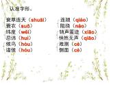 05大自然的语言-2021-2022学年八年级语文下册课件（部编版）