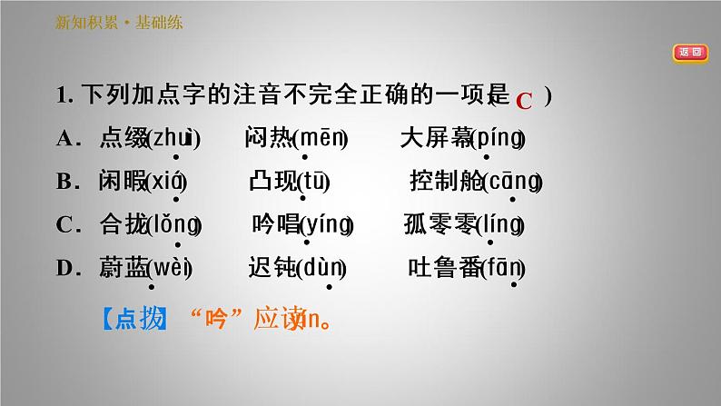 部编版语文七年级下册 24.带上她的眼睛 习题课件(共24张PPT)04