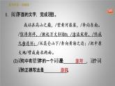 人教版七年级下册语文习题课件 5.黄河颂 30张PPT