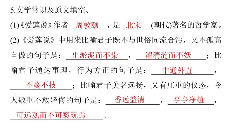 部编版语文七年级下册第17课短文两篇《爱莲说》习题课件（20张PPT）08