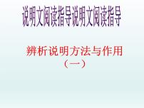 初中语文七年级下册期末复习说明文阅读指导--辨析方法及其作用课件（共27张PPT）