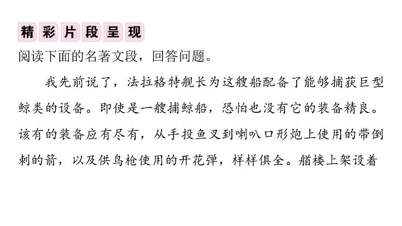 部编版语文七年级下册第六单元名著专练《海底两万里》习题课件（24张PPT）第6页